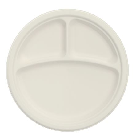 PLATE PLASTIC W/3 DIVIDERS 9